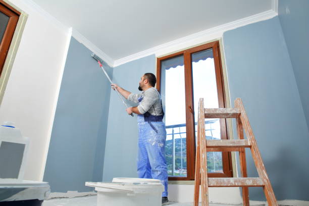 Bayonne, NJ Mold Removal Company