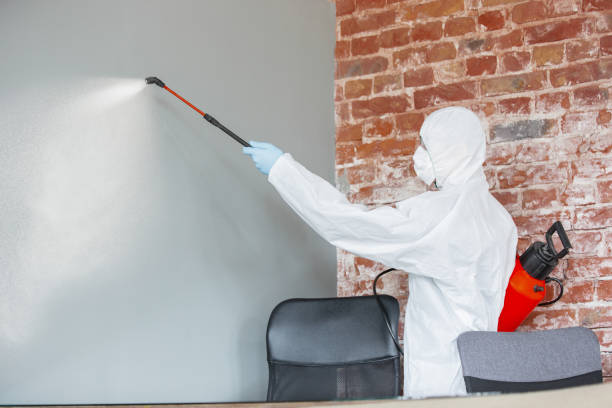 Best Mold Documentation for Insurance Claims  in Bayonne, NJ