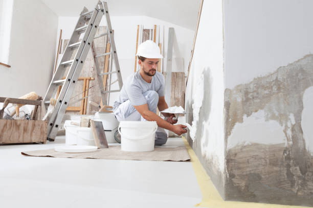 Best Mold Prevention Services  in Bayonne, NJ