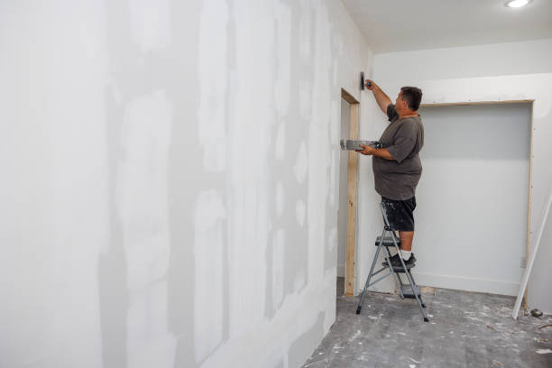 Bayonne, NJ Mold Removal Pros