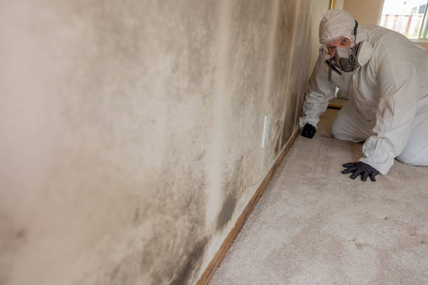 Best HVAC Mold Inspection and Cleaning  in Bayonne, NJ